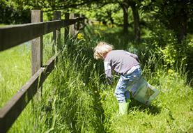 Easter egg hunts at Lacock Abbey