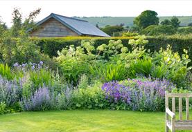Altons and Honeystreet Open Gardens Festival