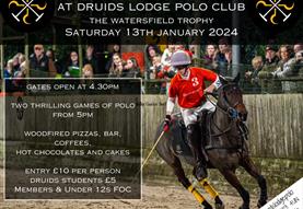 Fireside Polo Watersfield Trophy