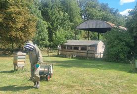 Wiltshire Bee and Honey Day