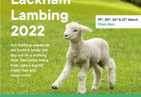 Lackham Lambing Weekend - Saturday 26th March