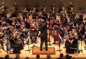 Bath Symphony Orchestra