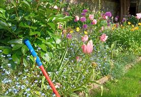Festival of Blossom: Makers' Week