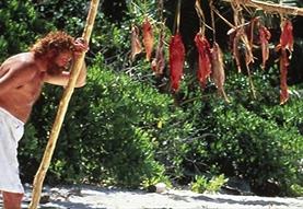 FILM: Castaway