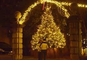 BOA Christmas Lights Switch-On