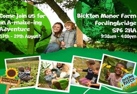 Fordingbridge Maize Maze and Pick Your Own Sunflowers