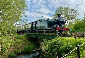 Locomotive 6695 travelling over the river ray bridge