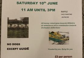 Sheep dog display, shearing and cake sale