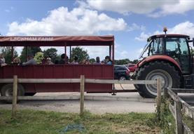 A Day on the Farm