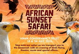 African Sunset Safari