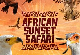 African Sunset Safari
