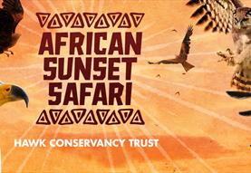 African Sunset Safari