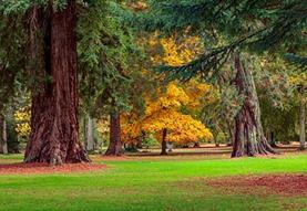 CLIVE NICHOLS PHOTOGRAPHY WORKSHOPS