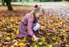 The Art of Autumn family trail at Westonbirt Arboretum