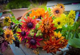 Autumn Posy Workshop - CANCELLED