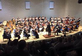 Bath Symphony Orchestra