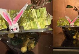 Baby Bunny Burrows