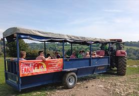 Jamie's Farm Open Day