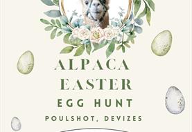 Alpaca Easter Egg hunt