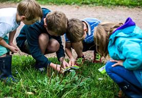 Biodiversity Detectives - family trail at Westonbirt