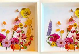 Botanical Boxed Paper Relief with Anya Beaumont