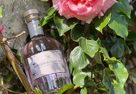 Gin-Lovers Afternoon Tea Delight at Bowood Hotel