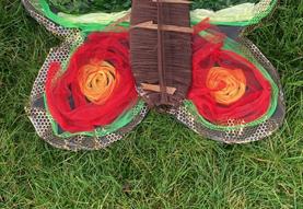 Butterfly Wings