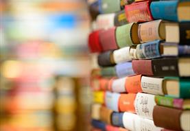 The Power of the Particular: Brief Lives Creative Writing Workshops