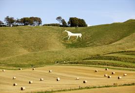 White Horses, Hill Forts and Ridgeway Walks