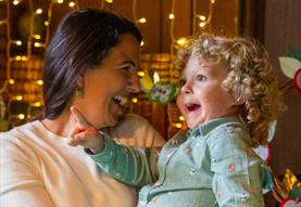 Christmas at Avebury Manor