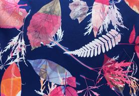 Printing with Leaves with Clare Walsh