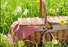 Parent & Child - Picnic class