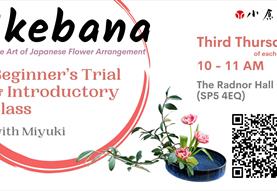 Christmas flowers in Japanese style - ikebana for complete beginners