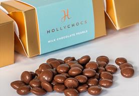 Hollychocs Christmas Chocolate Tasting Experience