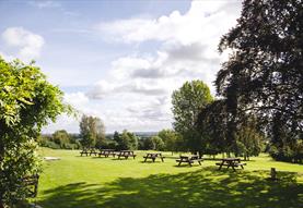 Nordic Walking Wellness Session