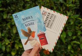 Robin's Christmas rescue