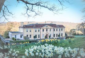 Fonthill House Charity Garden Opening