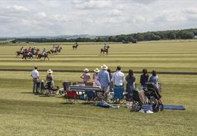 Druids Lodge Picnic Polo
