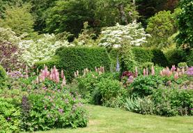 Fonthill House Charity Garden Opening