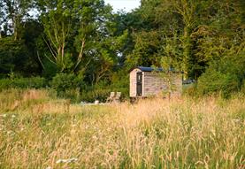 Marshwood Farm Camping - Shepherds Hut