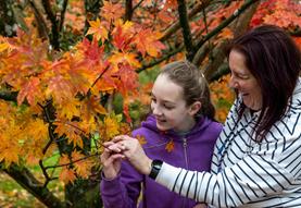 Drawn to Nature Autumn Trail - all ages