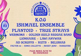 Fieldview Festival
