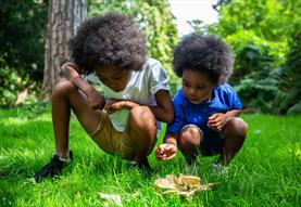Fabulous Fungi Discovery Day - family activity