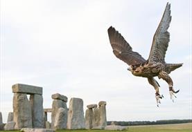 Victorian Falconry at Stonehenge