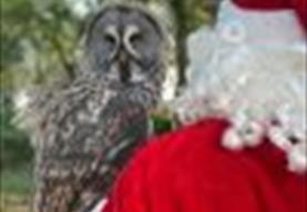 Father Christmas: Back in Flight!
