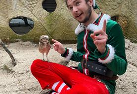 Father Christmas' Flying Visit