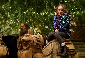 Festive Family Day