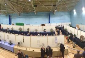 Swindon 'Winter Image' Bonsai show 2024