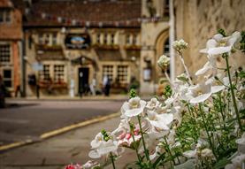 Corsham Food & Drink