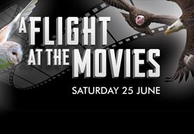 Flight at the Movies